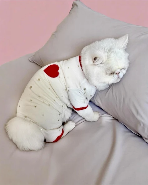 Sparkle Hearts Penye Tulum Yastık Takım Uyku Set Kedi Tulum Elbise - 8