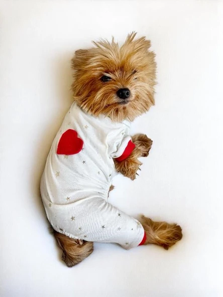 Sparkle Hearts Penye Tulum Yastık Takım Uyku Set Köpek Tulum Elbise - 8