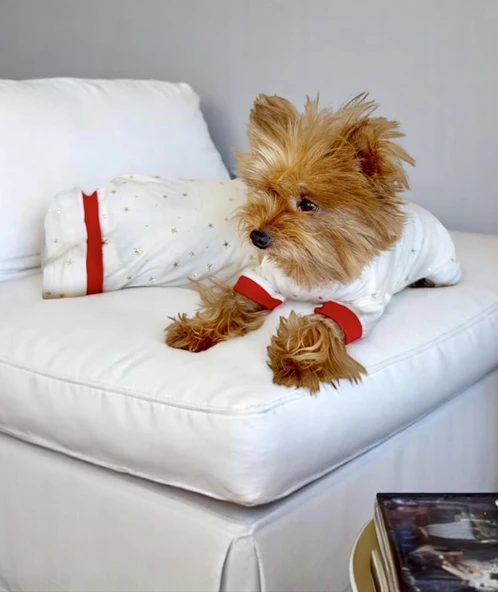 Sparkle Hearts Penye Tulum Yastık Takım Uyku Set Köpek Tulum Elbise - 5