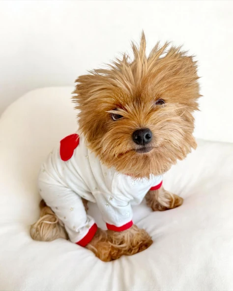 Sparkle Hearts Penye Tulum Yastık Takım Uyku Set Köpek Tulum Elbise - 6