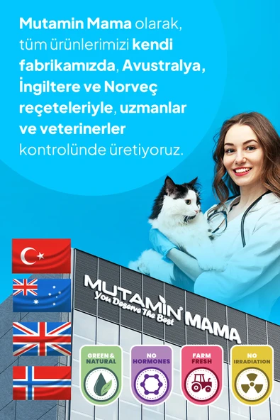 Chefs Kibbles Norveç Somonlu Yetişkin Köpek Maması 15KG - 6
