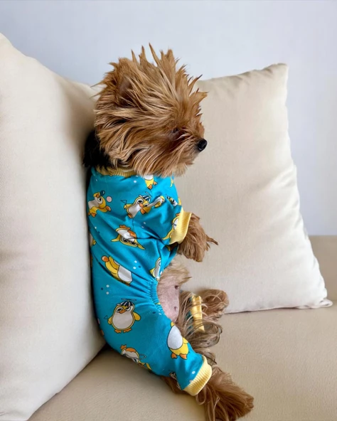 PenPen the Penguin Penye Köpek Tulum Pijama - 6