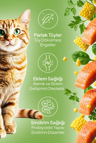 Chefs Kibbles Norveç Somonlu Yetişkin Kedi Maması 10KG+Mutamin Organics Somon Yağı 150ML - 2