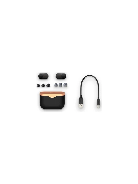 Sony WF-1000XM3 Kulak İçi Bluetooth Kulaklık - 4