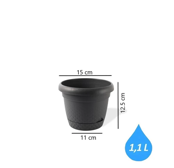 Omnipazar KRS-341 Dekoratif İnci Bitki Çiçek Saksı Takımı 1.1 Litre No 1 - Resim 2