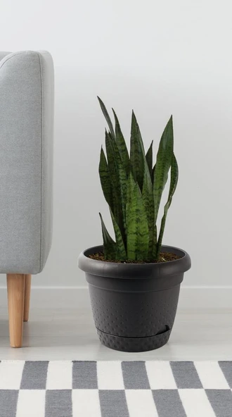 Omnipazar KRS-341 Dekoratif İnci Bitki Çiçek Saksı Takımı 1.1 Litre No 1 - Resim 3