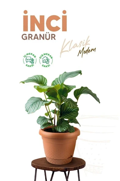 Omnipazar KRS-341 Dekoratif İnci Bitki Çiçek Saksı Takımı 1.1 Litre No 1 - Resim 9