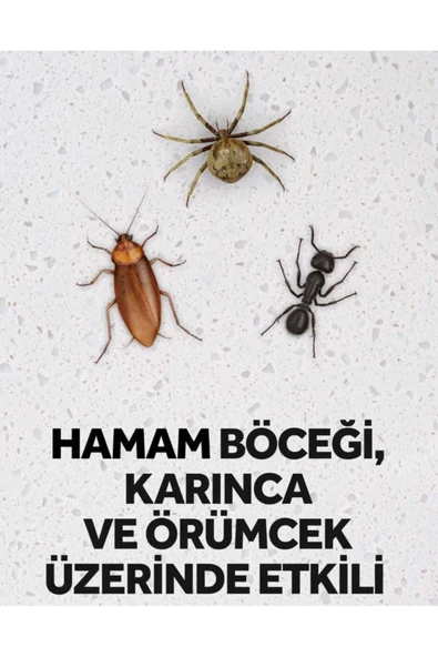 AMBERİAN RAİD Max Kokusuz Böceksavar 300 Gr - 4