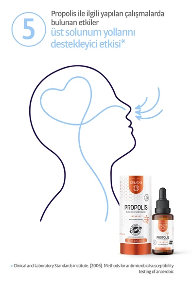 Erbatab Sıvı Propolis 30 ML - 7