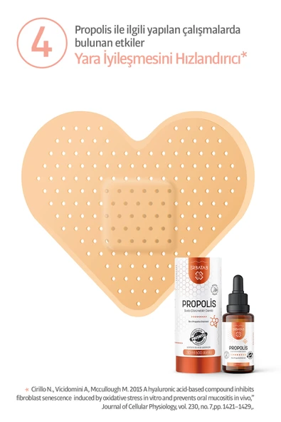 Erbatab Sıvı Propolis 30 ML - 6