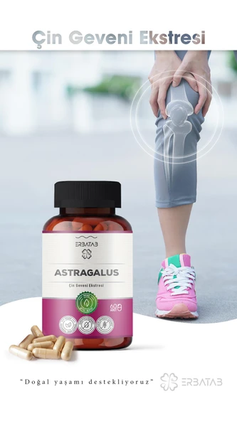Erbatab Astragalus Çin Geveni Ekstresi 60 Kapsül - 2