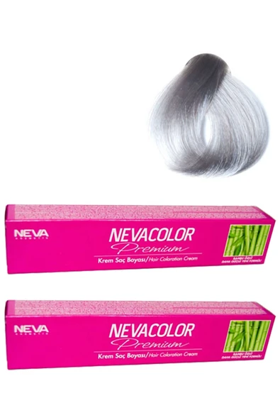 NEVA COLOR Gri Gümüş Tüp Boya 2'li Paket - 1