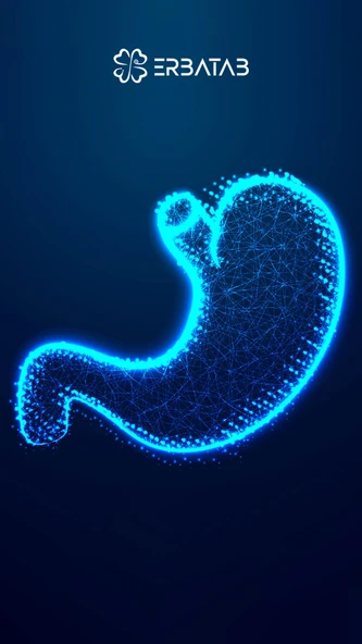 Avantaj Paketi 8 (Kudretnarı, Peptix, Bromelain) Erbatab - Resim 3