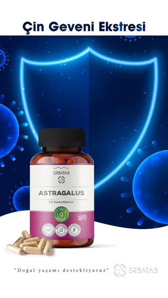 Erbatab Astragalus Çin Geveni Ekstresi 60 Kapsül - 4