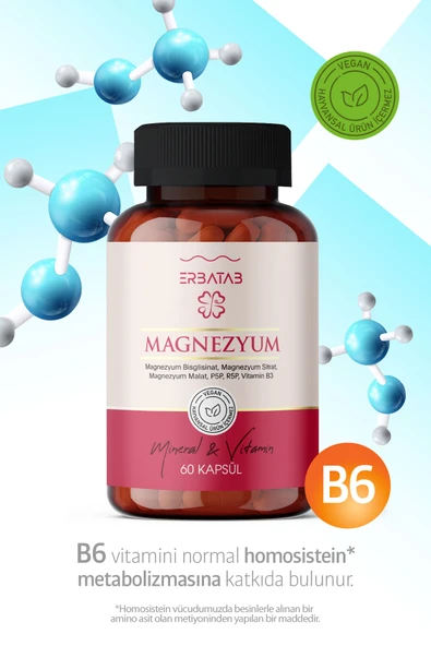 Erbatab Magnezyum 3 lü Form (Bisglisinat, Sitrat, Malat) & Vitamin B2 , B3 , B6 - 60 Kapsül - 4