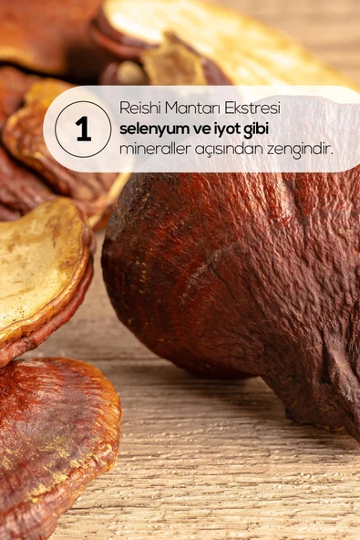 Erbatab Reishi Mantarı Ekstresi 60 Kapsü - 3