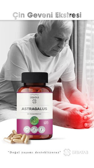 Erbatab Astragalus Çin Geveni Ekstresi 60 Kapsül - 3