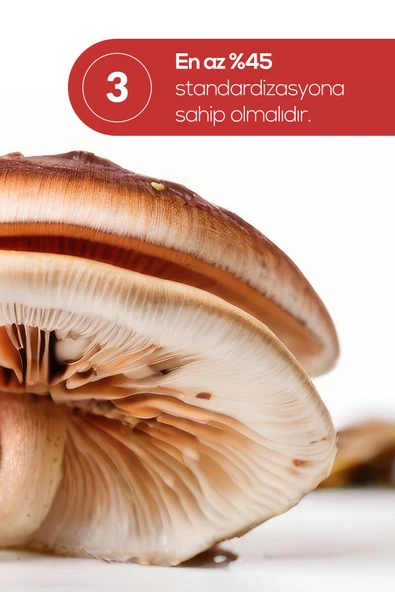 Erbatab Reishi Mantarı Ekstresi 60 Kapsü - 5