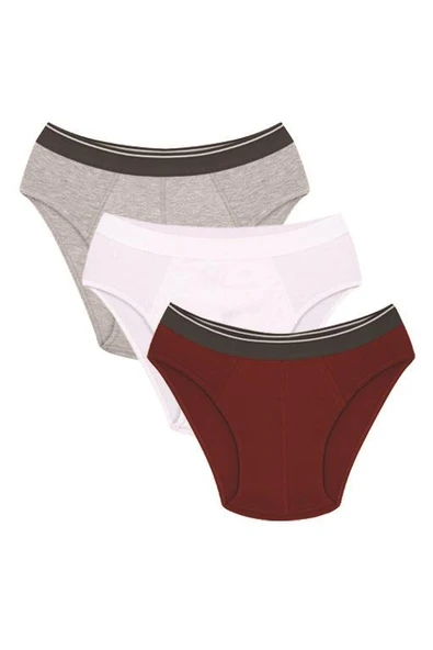Erkek Pamuk 3lü Bordo Beyaz Gri Likralı Slip 40128