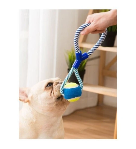 Halat Çekiştirme Halatı Düğümlü Köpek Oyuncağı - 2