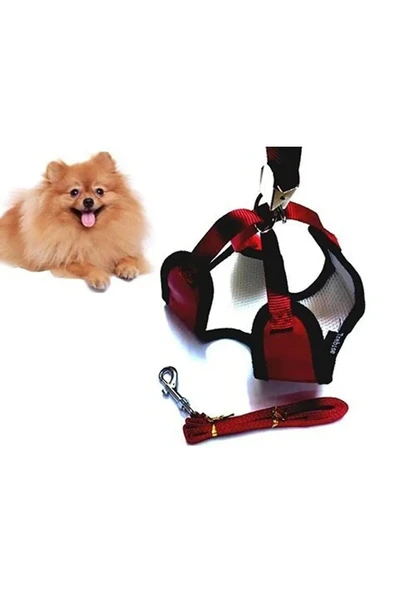 Yavru Köpek Gezdirme Seti