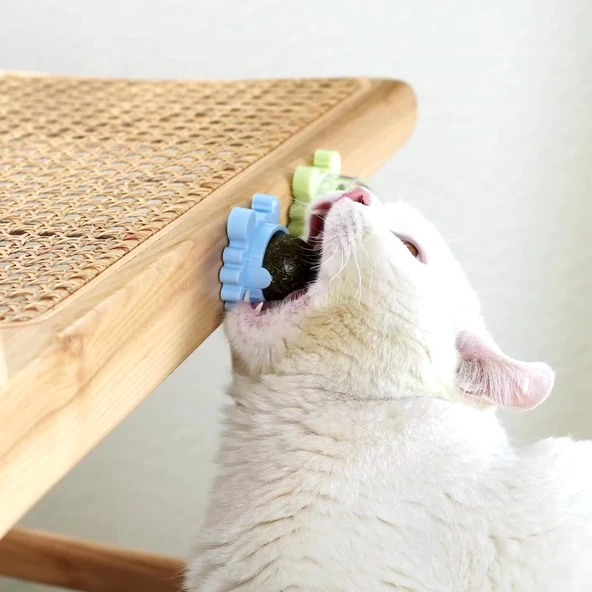 Yengeç Kedi Otu Oyun Topu - 3