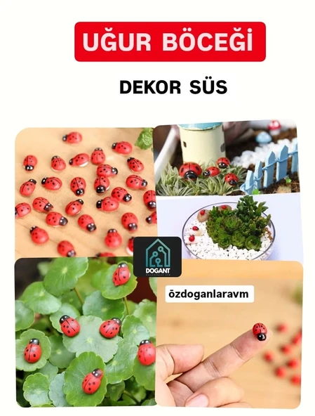 Uğur Böceği Ahşap Parti Dogum Günü Dekor Süslemesi 50 Adet