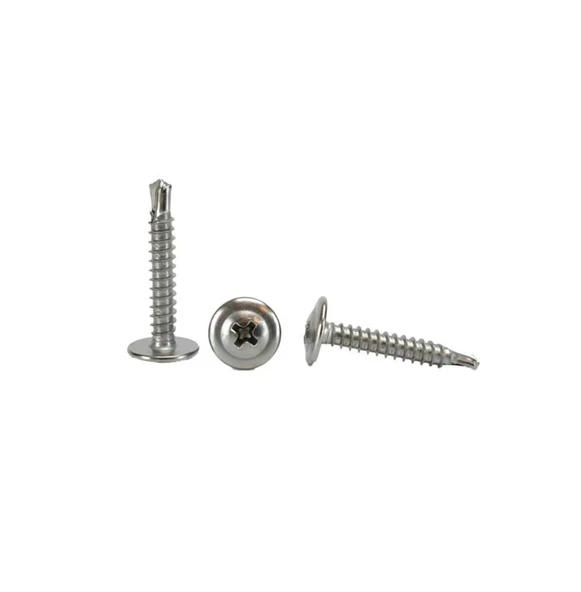 PUL BAŞLI (SDİNG) RYSB AKILLI VİDA 3,9X25 MM