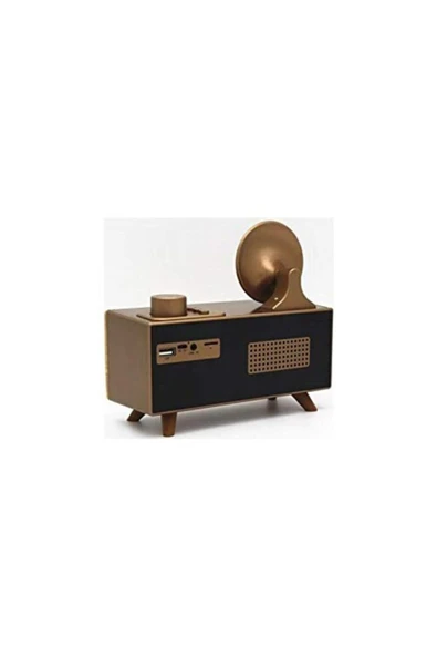 Paleon Apollo B6 Gramafon Radyo Retro Kablosuz Hoparlör - 4