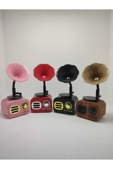 Proton Nostaljik Mini Bluetooth Radyo Gramafon Speaker - 6