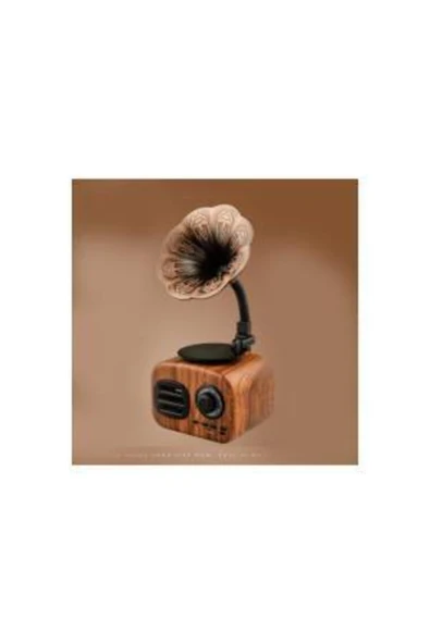actıvator Ft-05 Retro Mini Ahşap Gramafon Bluetooth Radio Hoparlör - 2