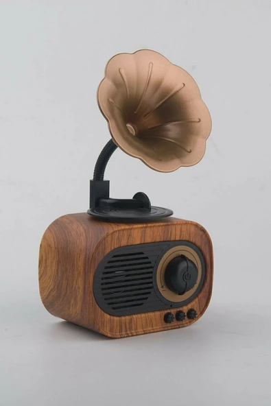10MİXX B5 Bluetooth Nostalji Gramafon Radyolu Ses Bombası Hoparlör B51 - 4