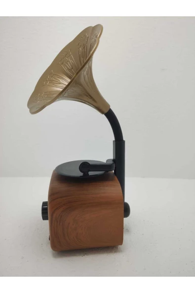 Proton Nostaljik Mini Bluetooth Radyo Gramafon Speaker - 2