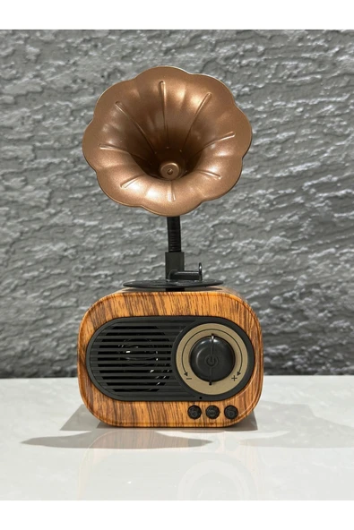 BİGGSM Nostalji Bluetooth Hoparlör Dahili Radyo Hafıza Kart Aux Gramafon Ekstra Bass Yüksek Ses