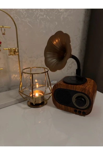 Store Gramafon Görünümlü Hoparlör & Radyo