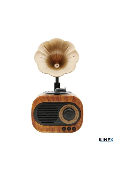 Toptan Bulurum Wireless Nostalji Gramafon Speaker Fm Radyo Sd Kart Usba 3.5mm Aux Girişli - 2