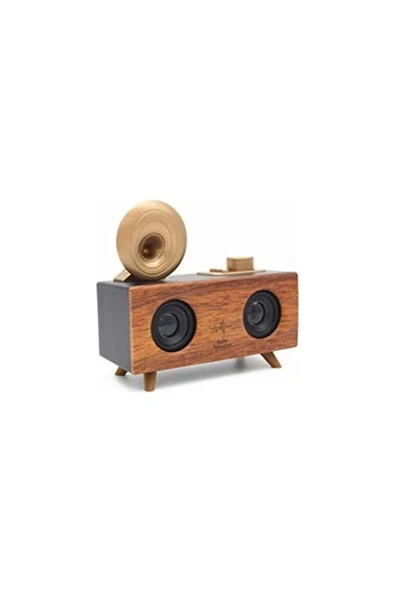 Paleon Apollo B6 Gramafon Radyo Retro Kablosuz Hoparlör - 3