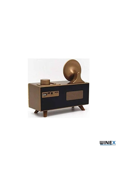 xmldünyası XD Çift Hoparlörlü Gramafon Speaker Bluetooth Hoparlör Fm Radyo+Sd Kart+UsbA+3.5mm Aux Girişli - 3