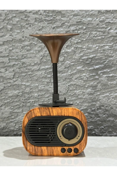 BİGGSM Nostalji Bluetooth Hoparlör Dahili Radyo Hafıza Kart Aux Gramafon Ekstra Bass Yüksek Ses - 2