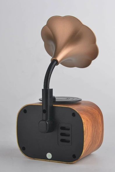 Dynego B5 Nostaljik Mini Gramafon Radyo Usb Aux Bluetooth Radyo Yüksek Ses Kalitesi - Resim 3