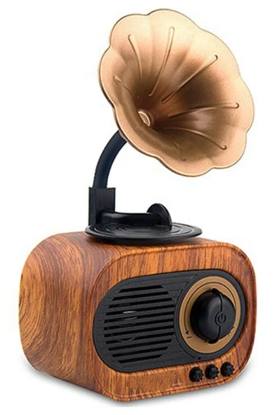 Dynego B5 Nostaljik Mini Gramafon Radyo Usb Aux Bluetooth Radyo Yüksek Ses Kalitesi