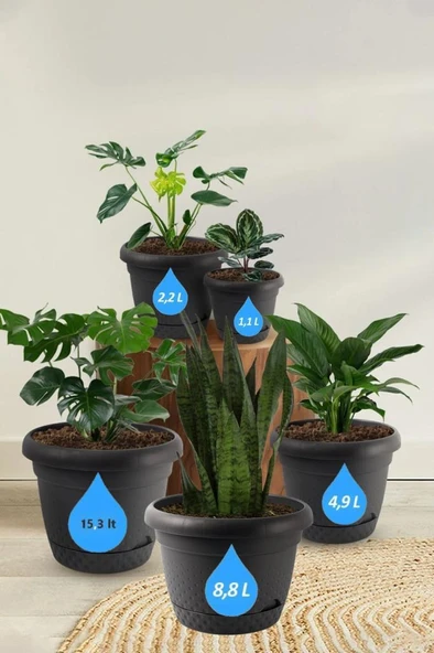 Omnipazar KRS Dekoratif İnci Bitki Çiçek Saksı Takımı 5'li Set Antrasit - Resim 2