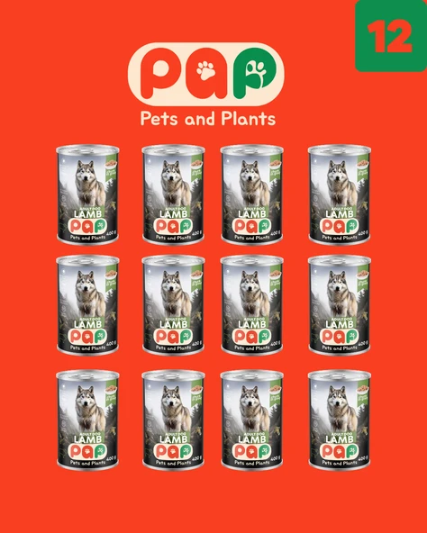 Pets and Plants Yüksek Proteinli Kuzu Etli Yetişkin Köpek Konservesi 400 Gr.X 12 Adet - 2