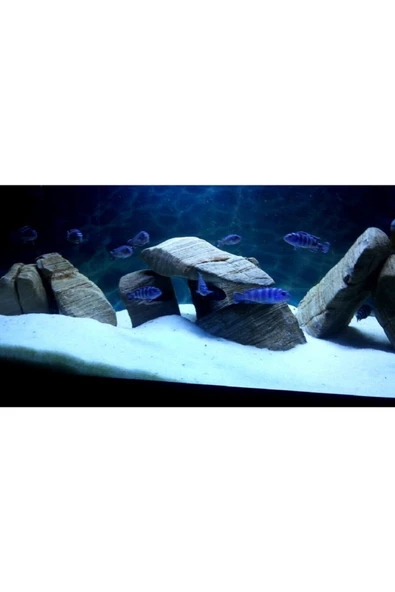 Akvaryum Kumu 1 - 2 Mm Beyaz Kalsit Silis 1 Kg