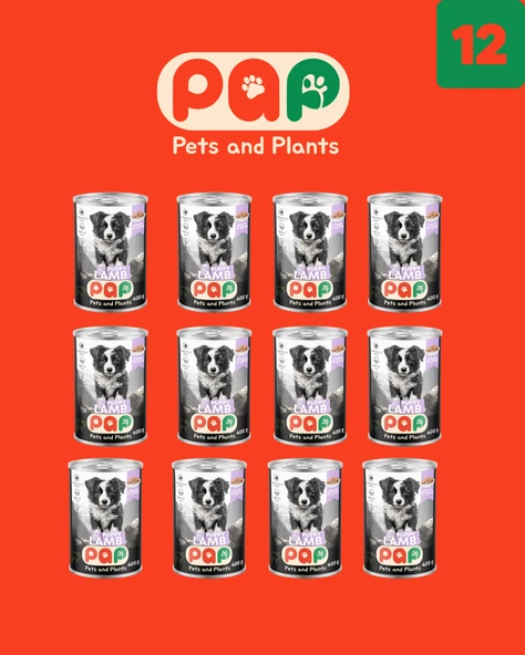 Pets and Plants Kuzu Etli Yavru Köpek Konservesi 400 Gr.X 12 Adet - 2
