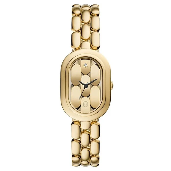 Fossil FES5380 Quartz Çelik Altın Rengi 24 mm Kadın Kol Saati