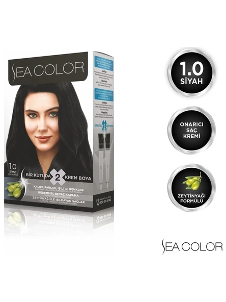 Sea Color 1.0 Siyah Set Boya