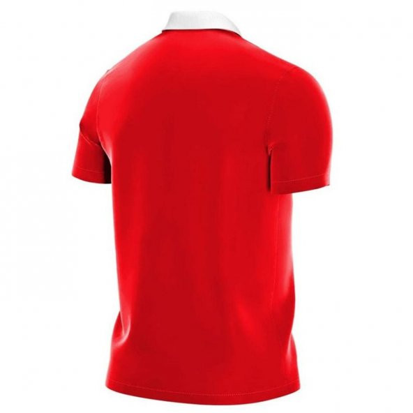 Nike CW6933-657 M Nk Df Park20 Polo Ss Erkek Polo T-Shirts - 2