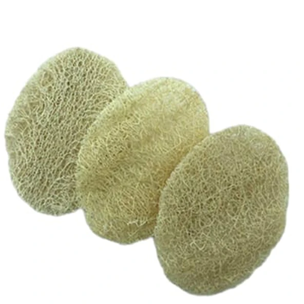 Loofah ( Kabak ) 3 lü Disk - 2