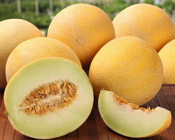 Ananas Kavun Tohumu 200 Adet